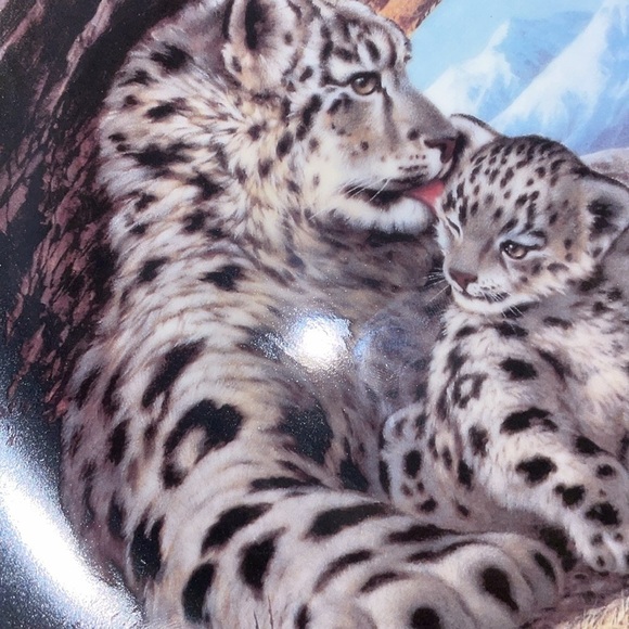 The Snow Leopard Will Nelson Vintage Last of Their Kind Endangered Species Plate - Picture 10 of 13